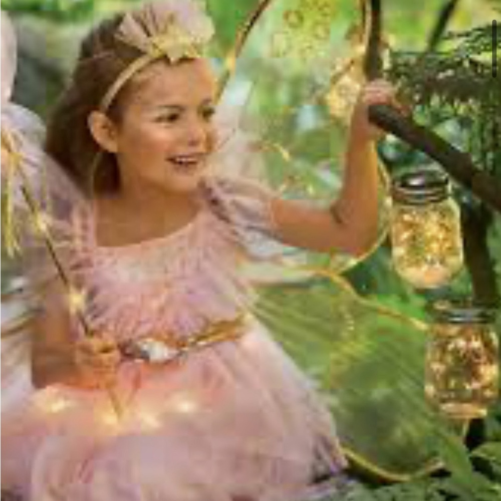 Pottery Barn Kids Pink Fairy Costume with Gold Accents